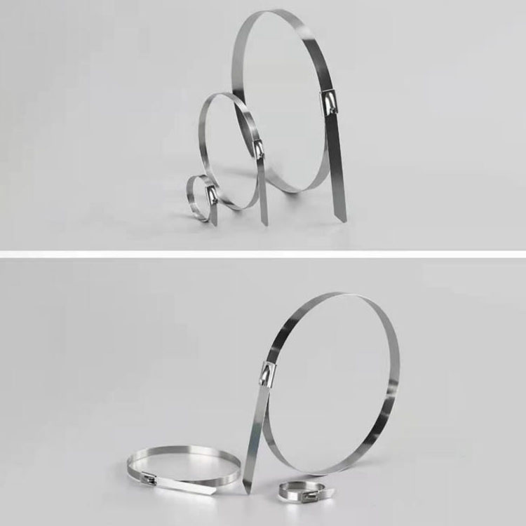 Quale coil ferro intemerata accuratius incorrupta torretur pensatur coil?