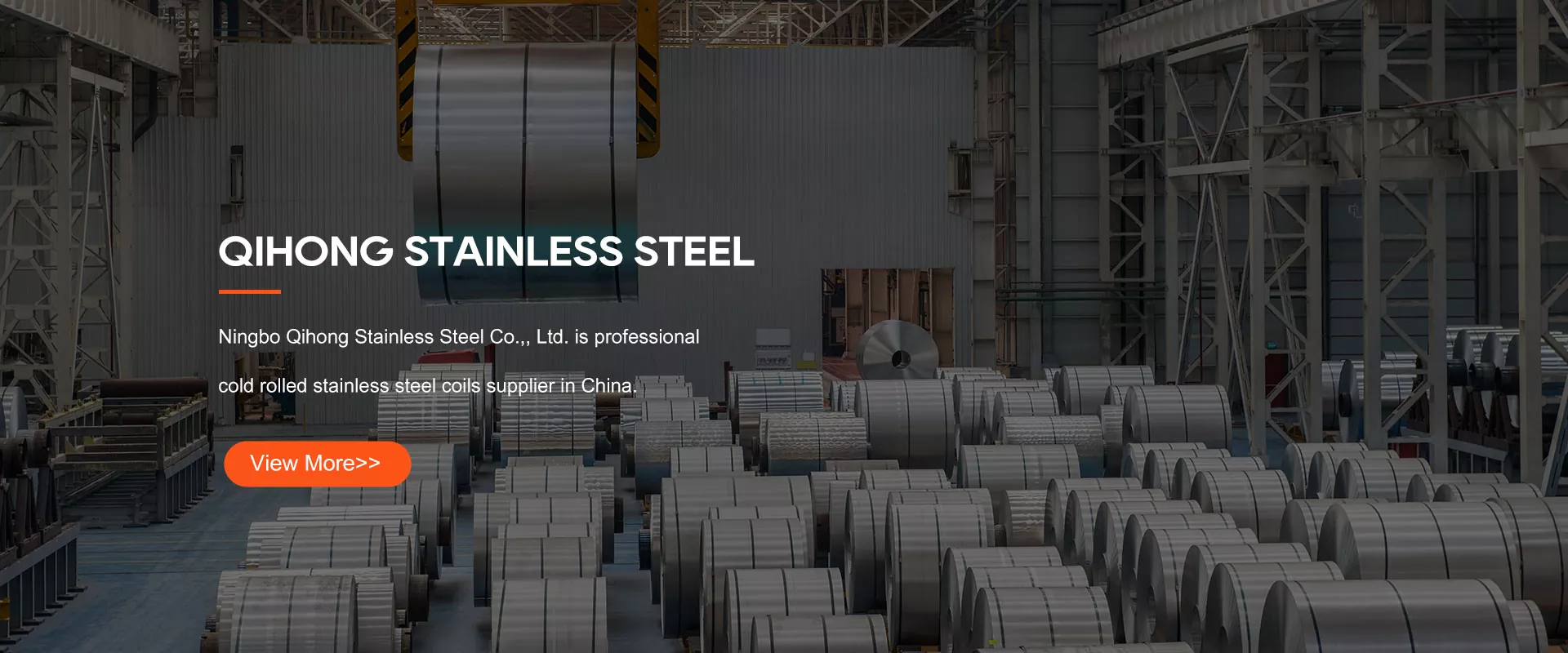 Sinis Steel Steel habena