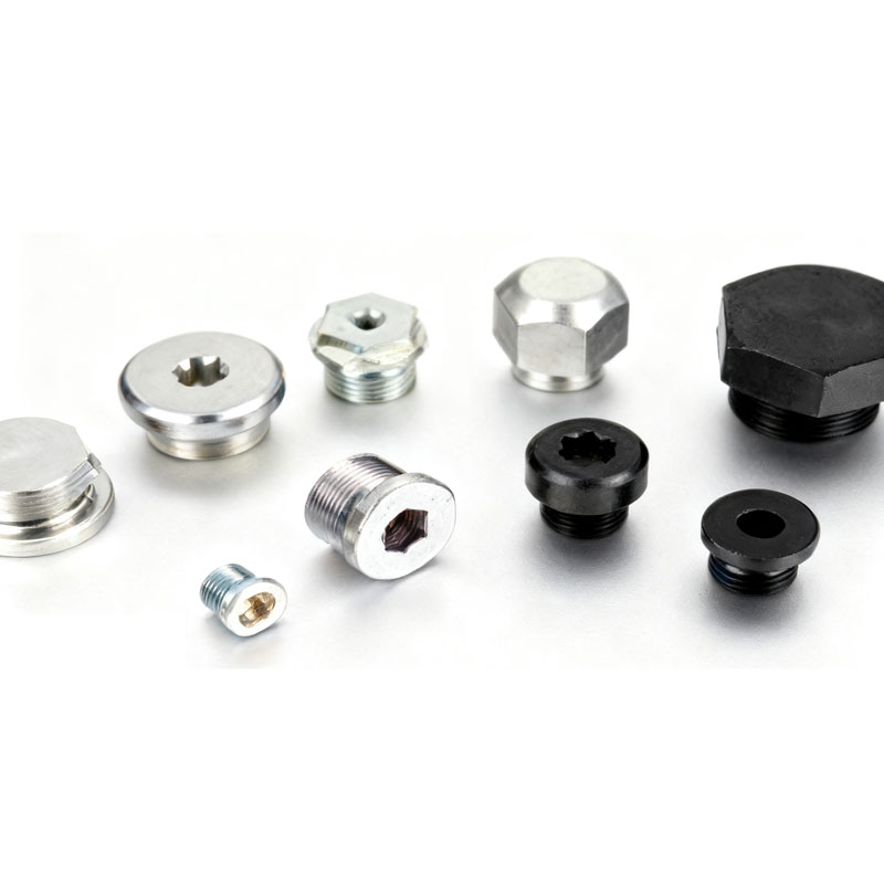 Stainless Steel Flange Plug