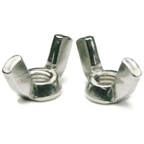 Stainless ferro Wing nuces